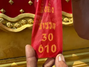 เลขหางประทัดในพิธีบวงสรวงที่อาศรมฤๅษีเณร ปรากฏเป็นเลข 30 และ 610 สำหรับนำไปเสี่ยงโชคงวดวันที่ 1 พฤศจิกายน 2569